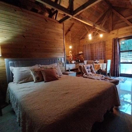 Tiny House Canjerana - Cabana Com Vista Dos Canyons Praia Grande  Eksteriør billede